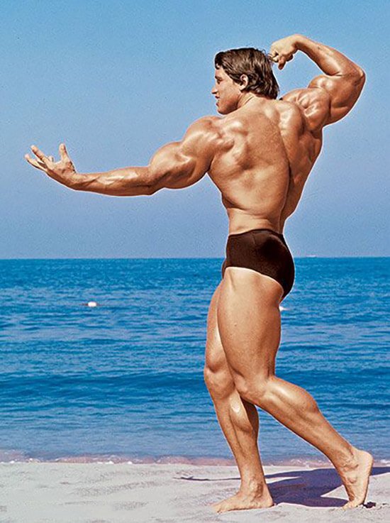 Testimonies that show Arnold Schwarzenegger is tall enough