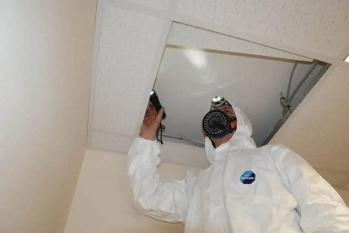 asbestos consultants