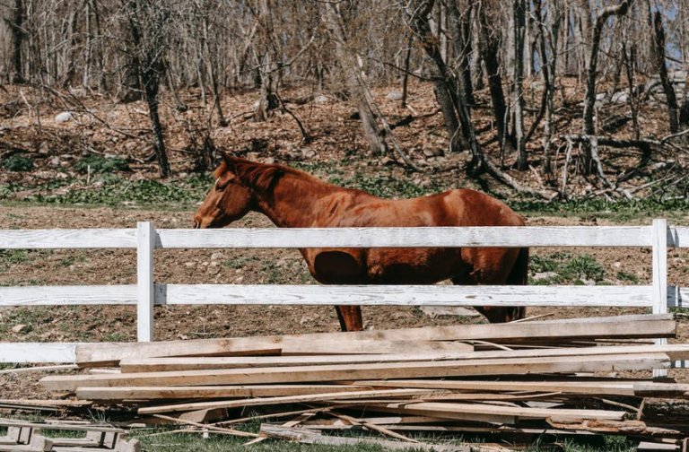 5 Common Farm Management Mistakes and How to Avoid Them