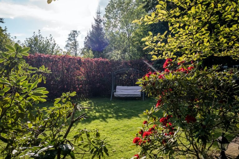 How to Create Cozy Backyard Corner