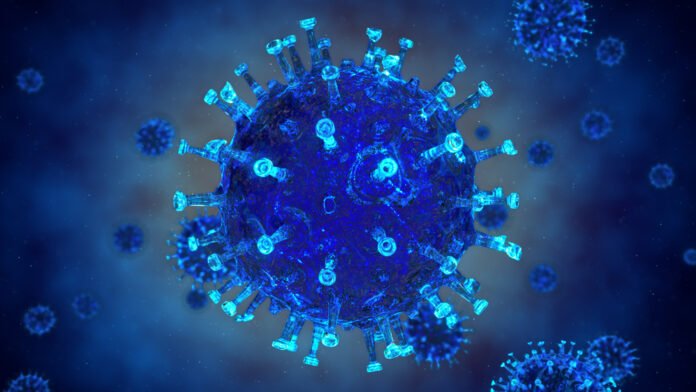 Simplex Virus