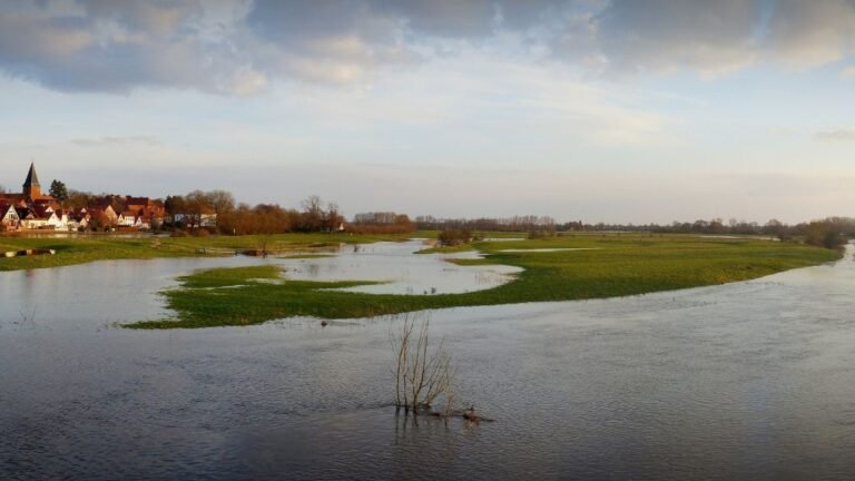 All about MyenvoyAir benefit’s