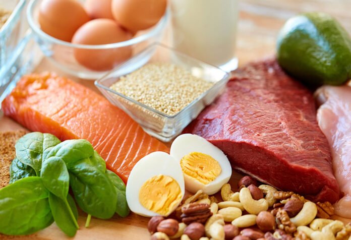 Protein Rich Foods for Kids