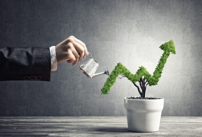 3 Things That Can Help You Grow Your Business 3 Things That Can Help You Grow Your Business