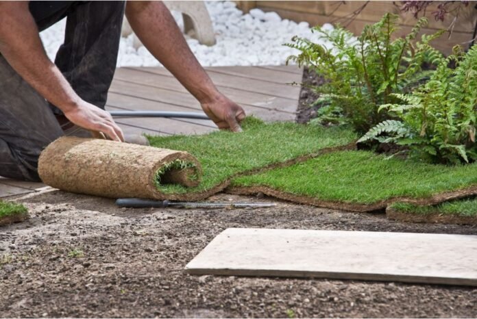How Do I Choose the Best Landscaping Company in My Local Area