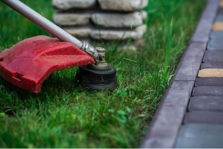 What Are the Different Types of Garden Weeds That Exist Today?