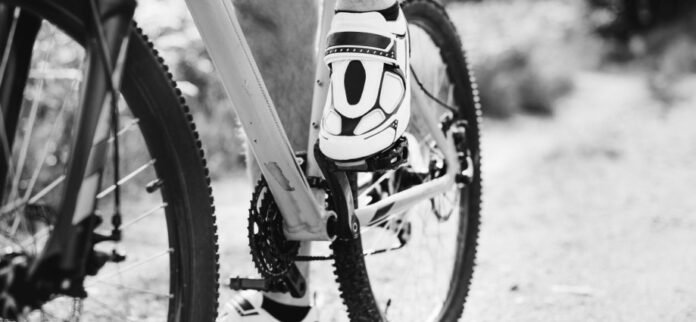 Mountain Cycle