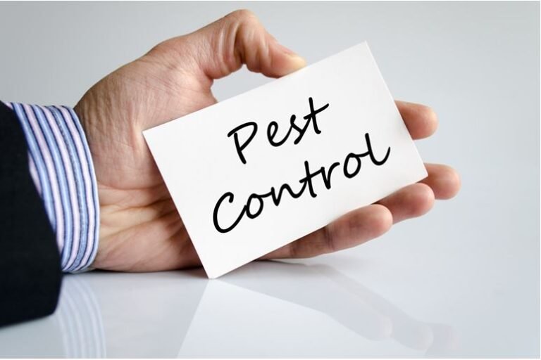 3 Things to Expect from the Best Pest Control Services