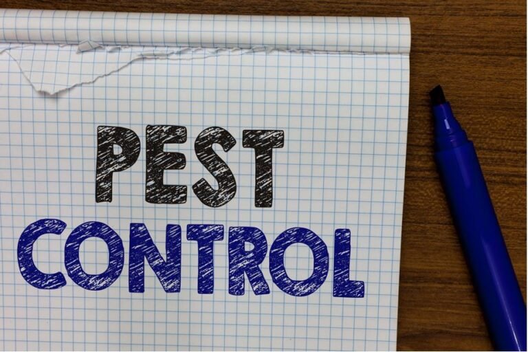5 Common Pest Control Mistakes and How to Avoid Them