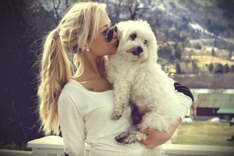 How can we take care of a Pit-bull Puppy?