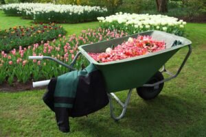 Garden Therapy How Gardening Improves Our Health