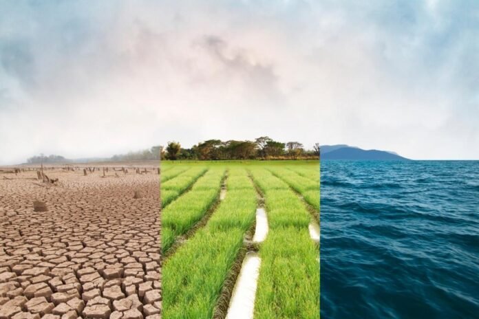 The Role of Oceans in the Prevention of Climate Change