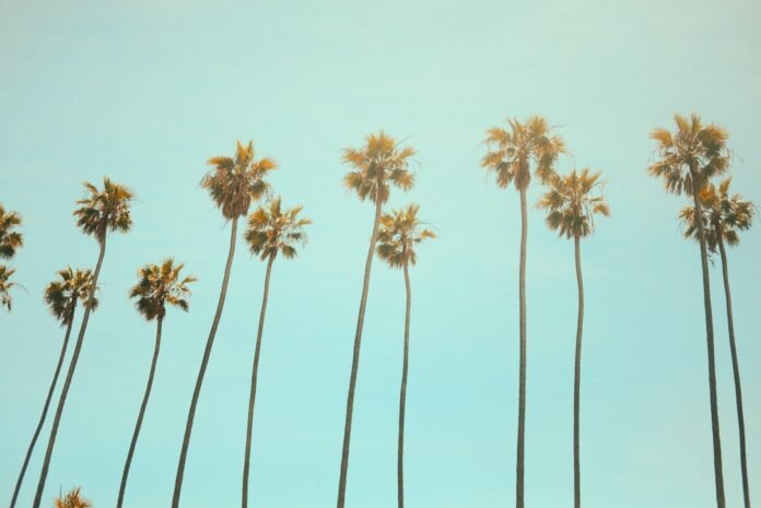 Local SoCal: 5 Local Things to Do in Southern CA Local SoCal