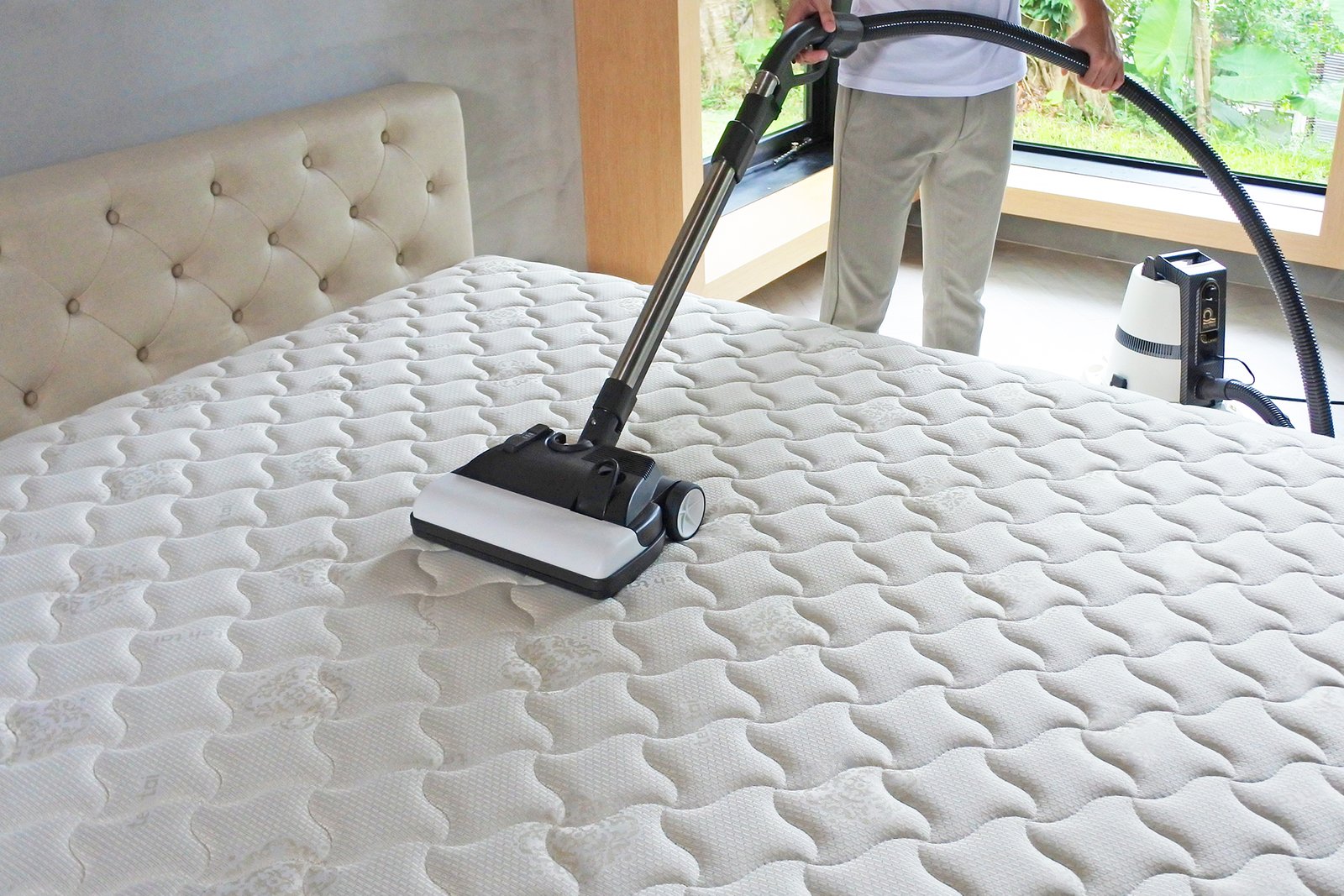 Mattress Cleaning services