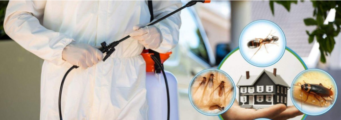 pest control management