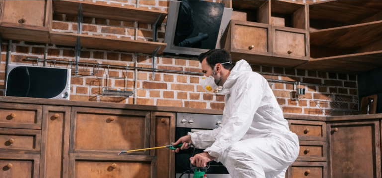 Their pest control services are energetic within the daylight and accompany your work hours in the event that they have the opportunity to slip via pest control services.