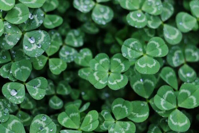 The Role of Luck in Online Gaming
