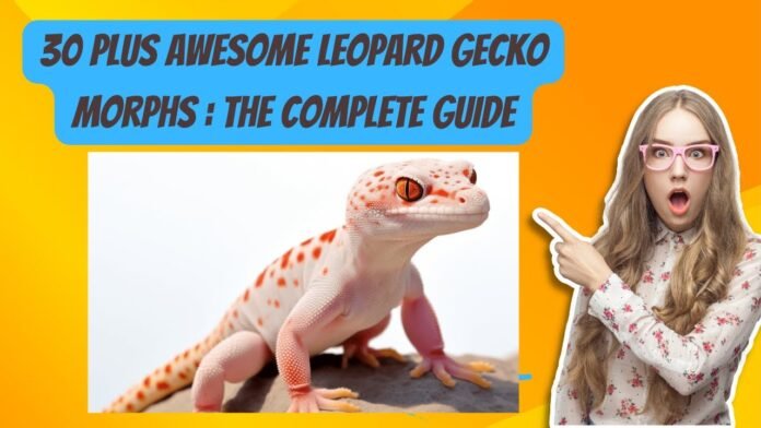 Unveiling the Wonders of Geckos| A Comprehensive Exploration